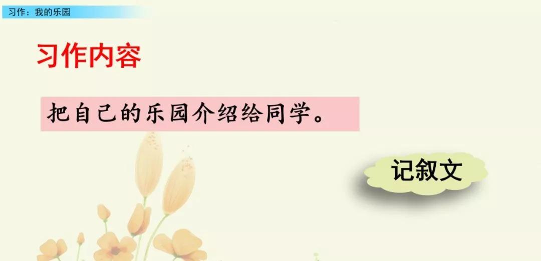 部编版四下习作我的乐园教材分析,我的乐园作文四年级400字范文院子