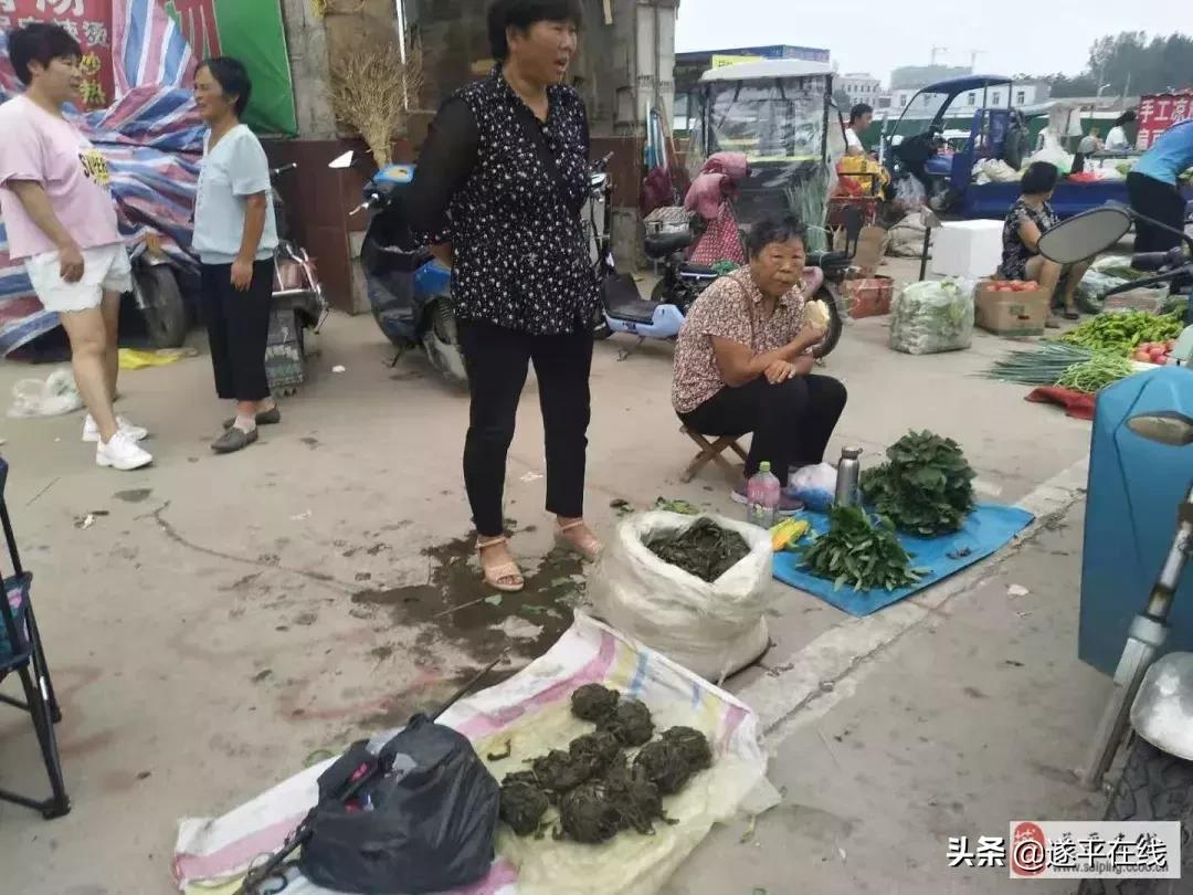 遂平县各大农贸菜市场,图说遂平清晨的菜市场