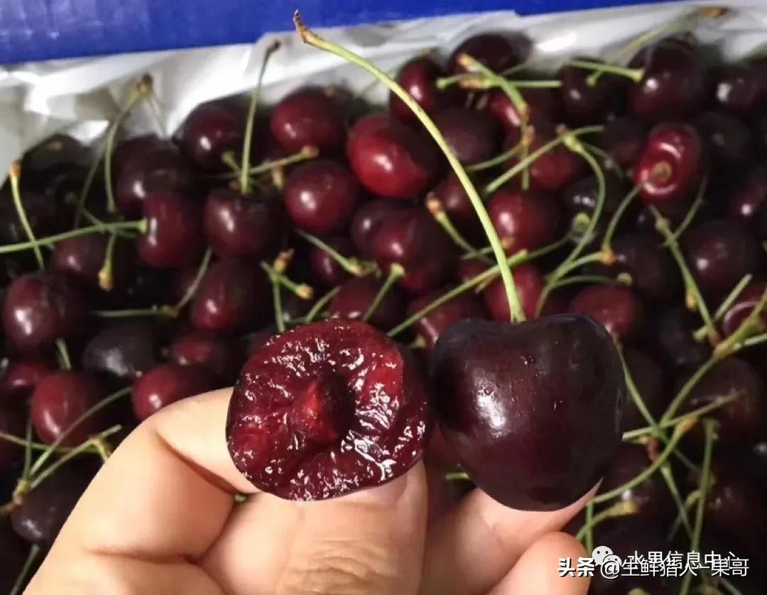 车厘子包装等级划分,车厘子标签各种日期形式