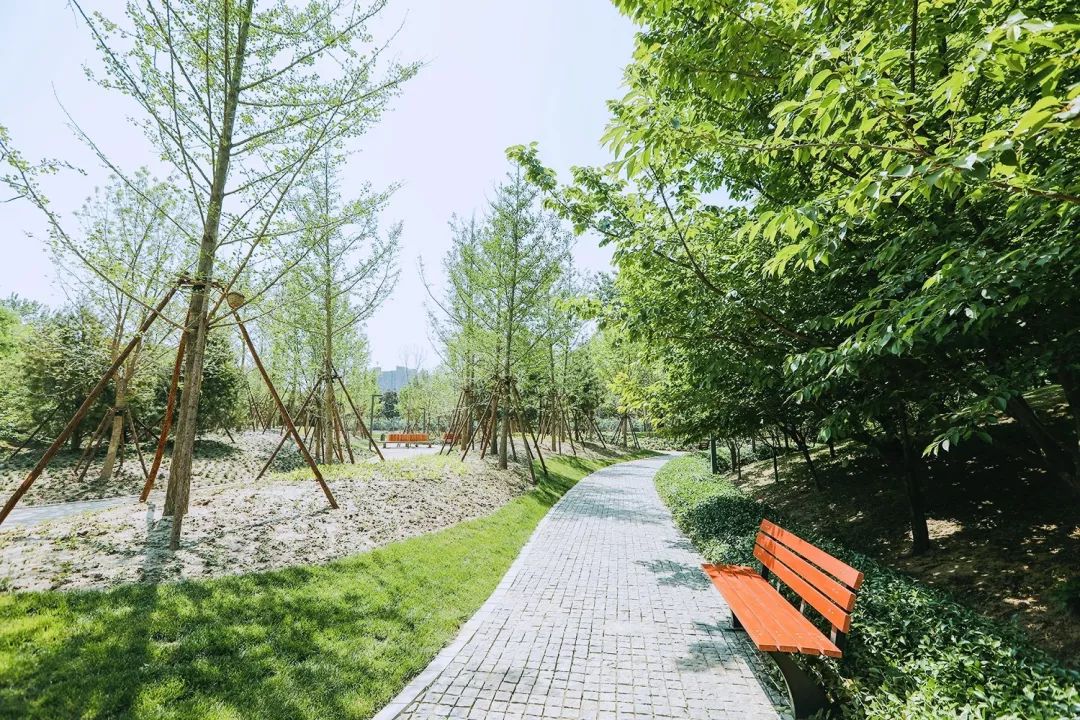 cbd白领生活,北京cbd白领下班回家