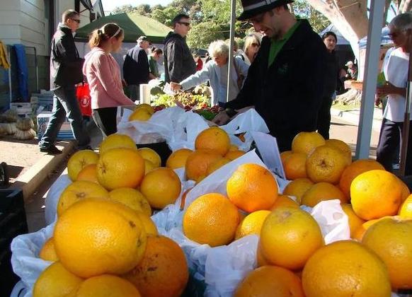 知道错了吗？澳大利亚柑橘滞留中国港口，议员猛批：太愚蠢