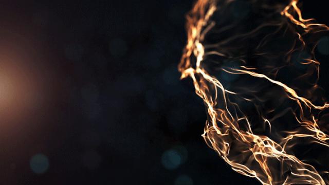 女人要美丽优雅,湿寒体质的女人怎么祛湿