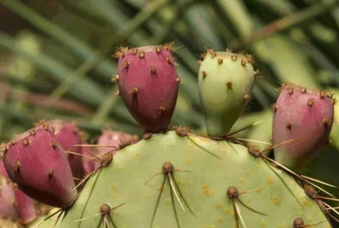 祛痘排行榜第一名痘印产品,祛痘印痘坑痘痕闭口最好方法