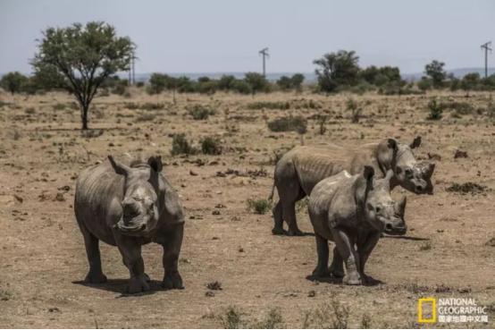 越南下一个工业化国家,越南号称小中国