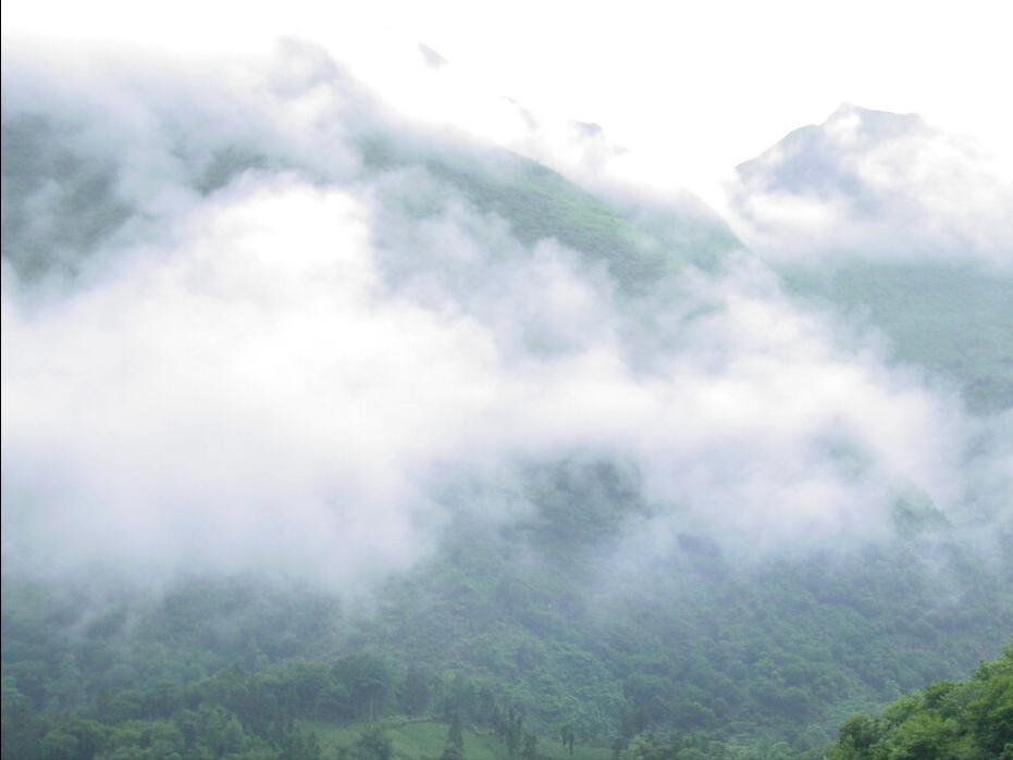 *德朱**赣南一系列整顿铸就威武之师，井冈山会师令红军数量扩大五倍