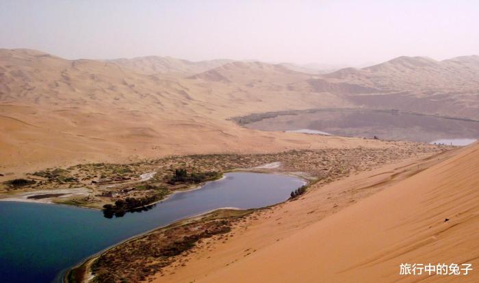 塔克拉玛干沙漠重现生机,塔克拉玛干沙漠可以变绿洲吗