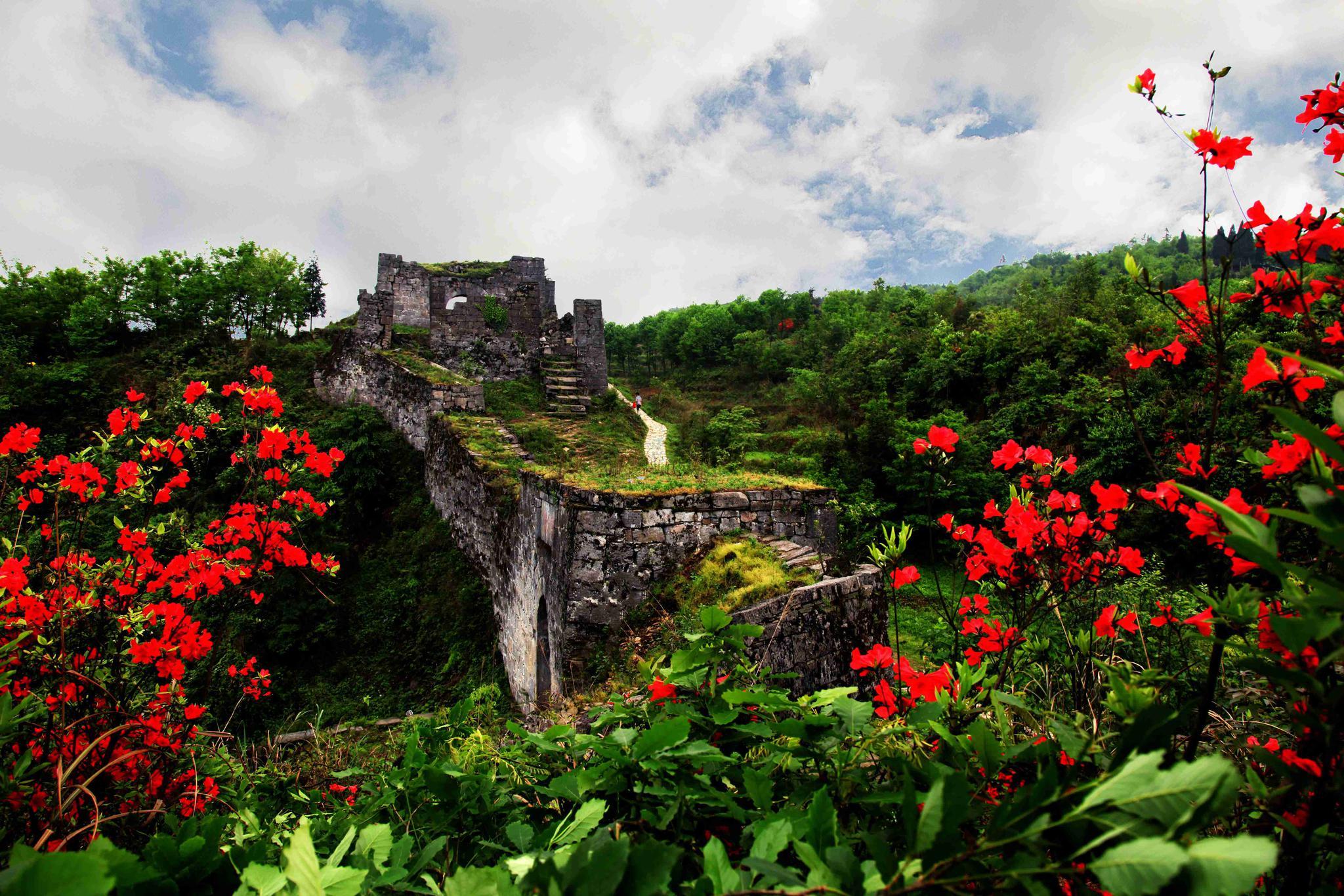 贵州遵义的a级景区有哪些,贵州遵义5a级旅游景点