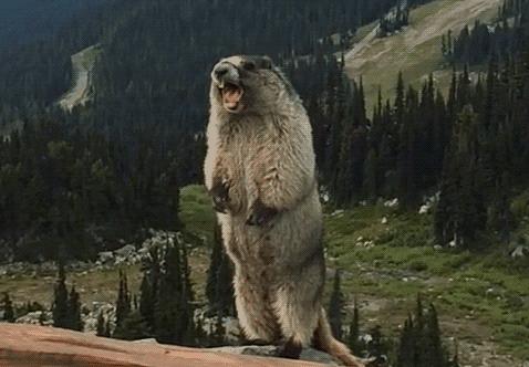 音乐记号,音乐符号怎么记