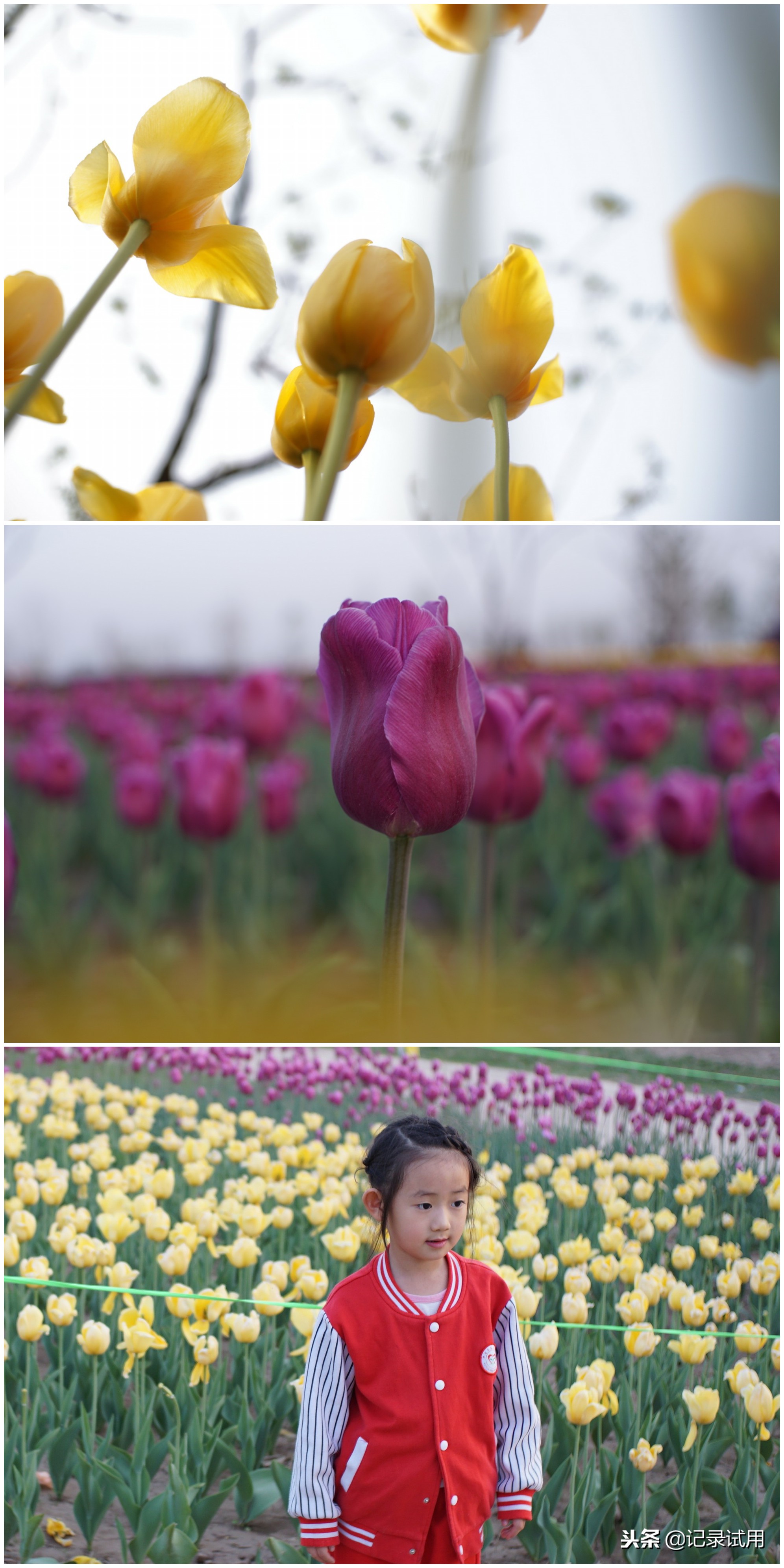 索尼ilce-a6000l微单相机,索尼微单ilce-5100怎么样