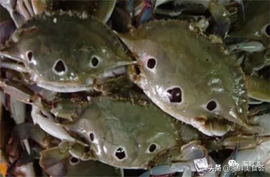 十种最美味海鲜,100种常见海鲜大全图