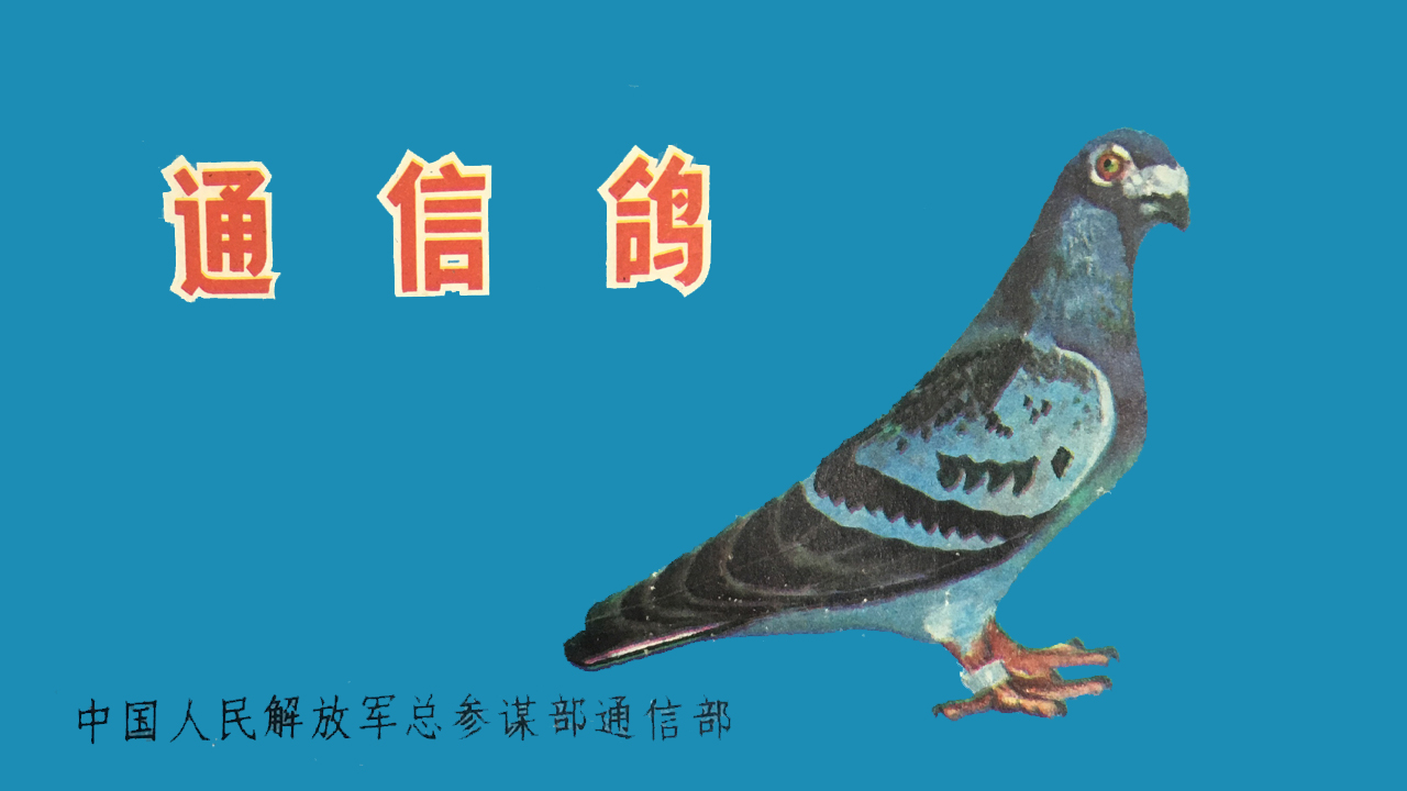 陈文广教授之引育结合和变与不变