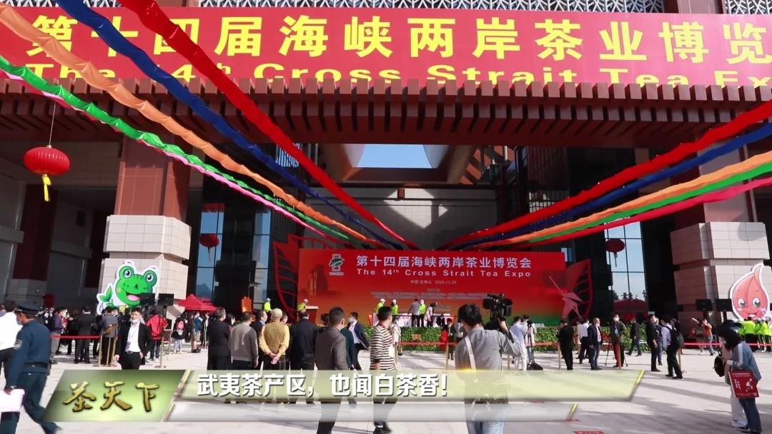 武夷茶分布图,武夷茶有岩韵