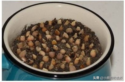 吃完的水果种子不要丢,吃完水果果核别扔