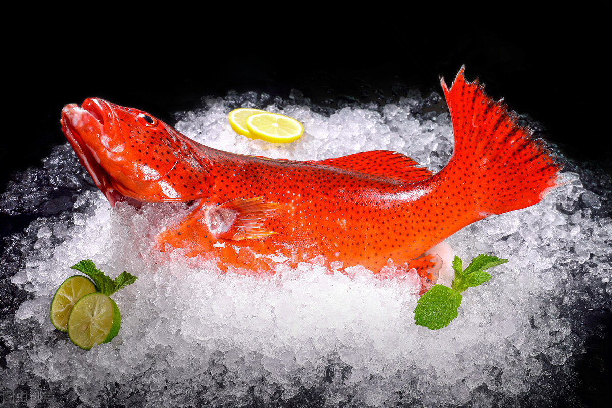 南海明珠美济岛现在建设得怎样了,美济岛收复前被哪个国家占领