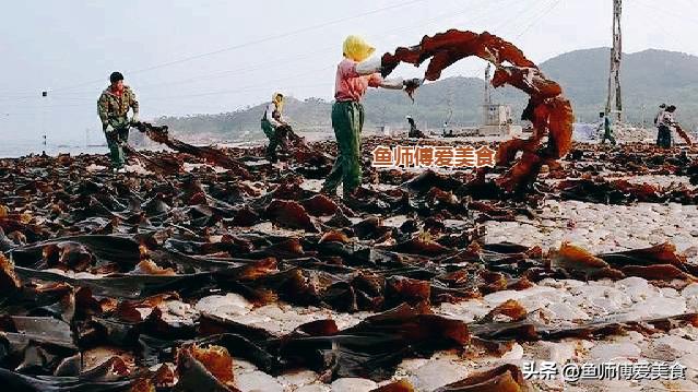 冬至到，多给家人吃海产品，天然鲜美钙质丰富，增强体质平安入冬