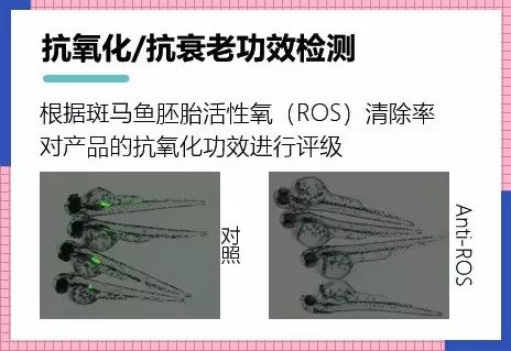 小红书性价比高的眼霜,眼霜40+测评推荐