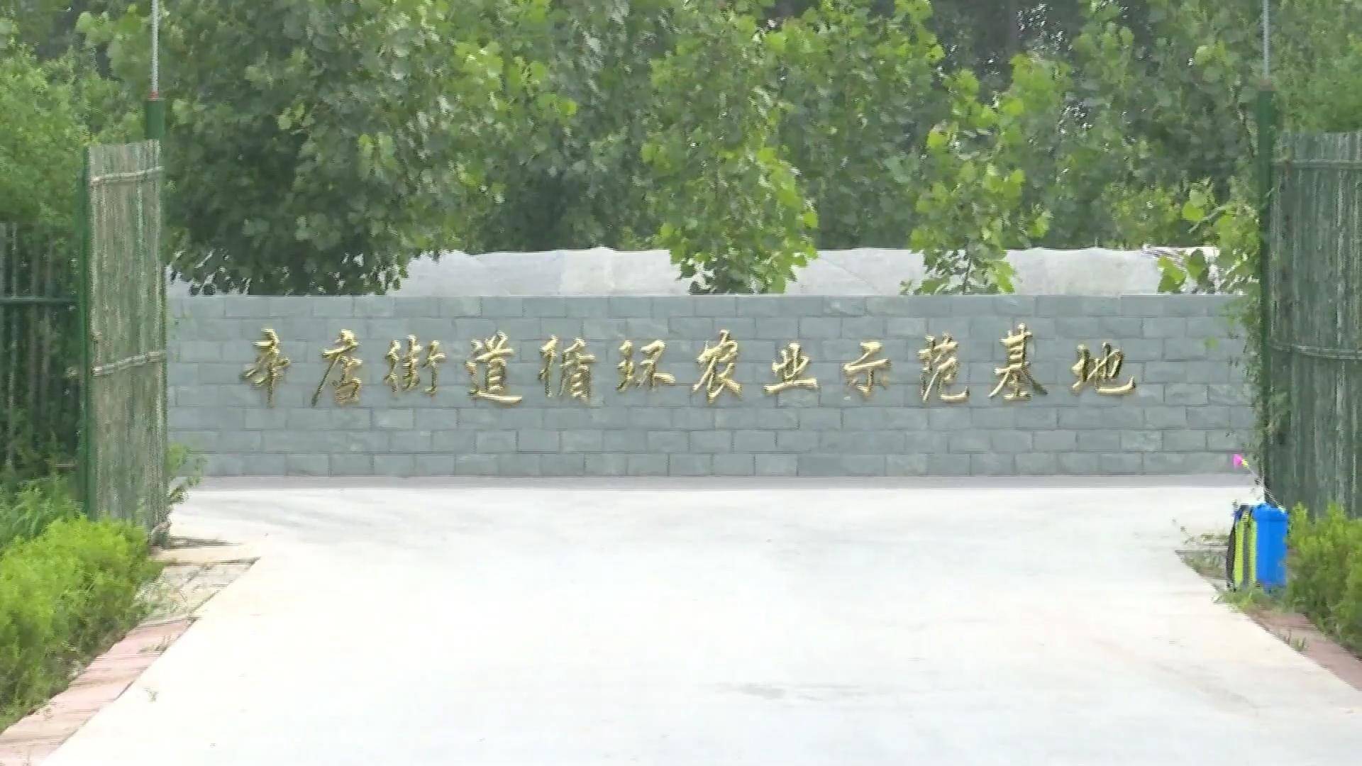 临淄垃圾分类什么时间实行,临淄垃圾分类