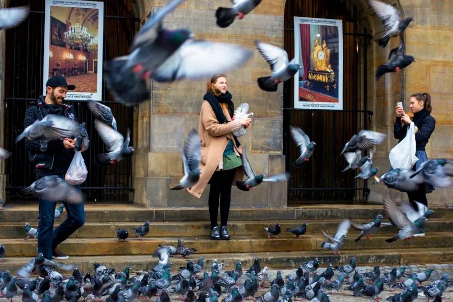 塞尔维亚中国互免关税,和中国互免签证的国家七大洲汇总