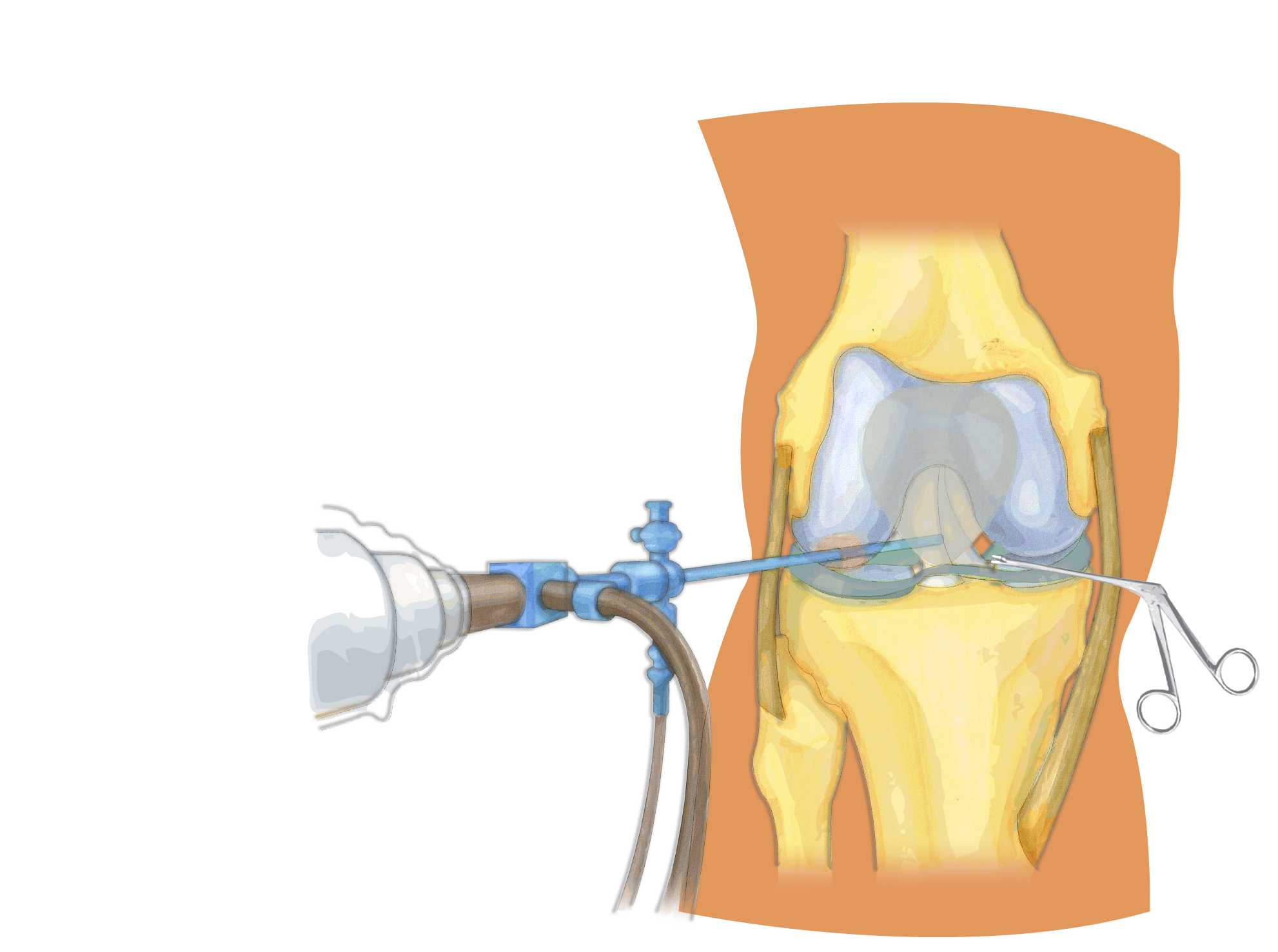 热爱跳舞的阿姨们,热爱广场舞的阿姨