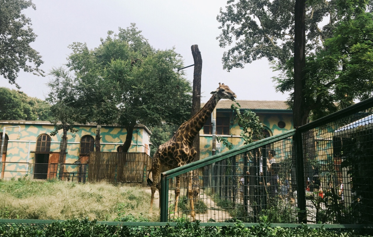 为什么你来北京我绝不建议你跟团