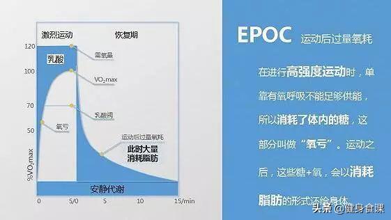 hiit和有氧运动对比,hiit和有氧运动哪个燃脂效率高