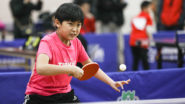 2019年全国乒乓球青少年训练营,中国青少年乒乓球训练营