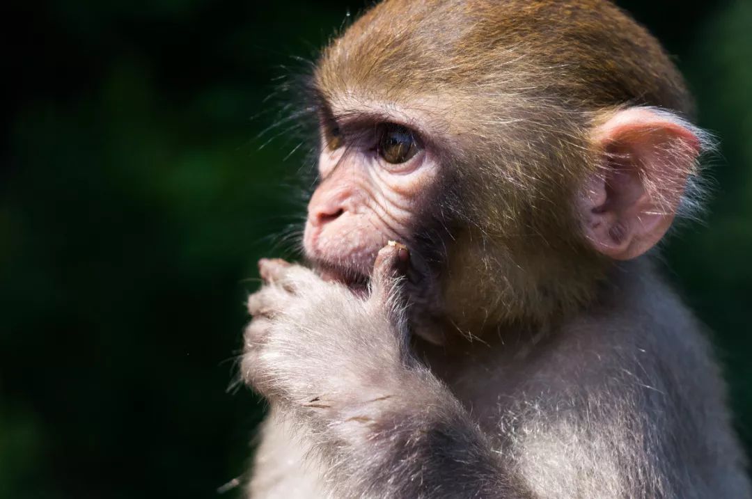 创业项目最新思路赚钱最多,想低成本创业赚钱