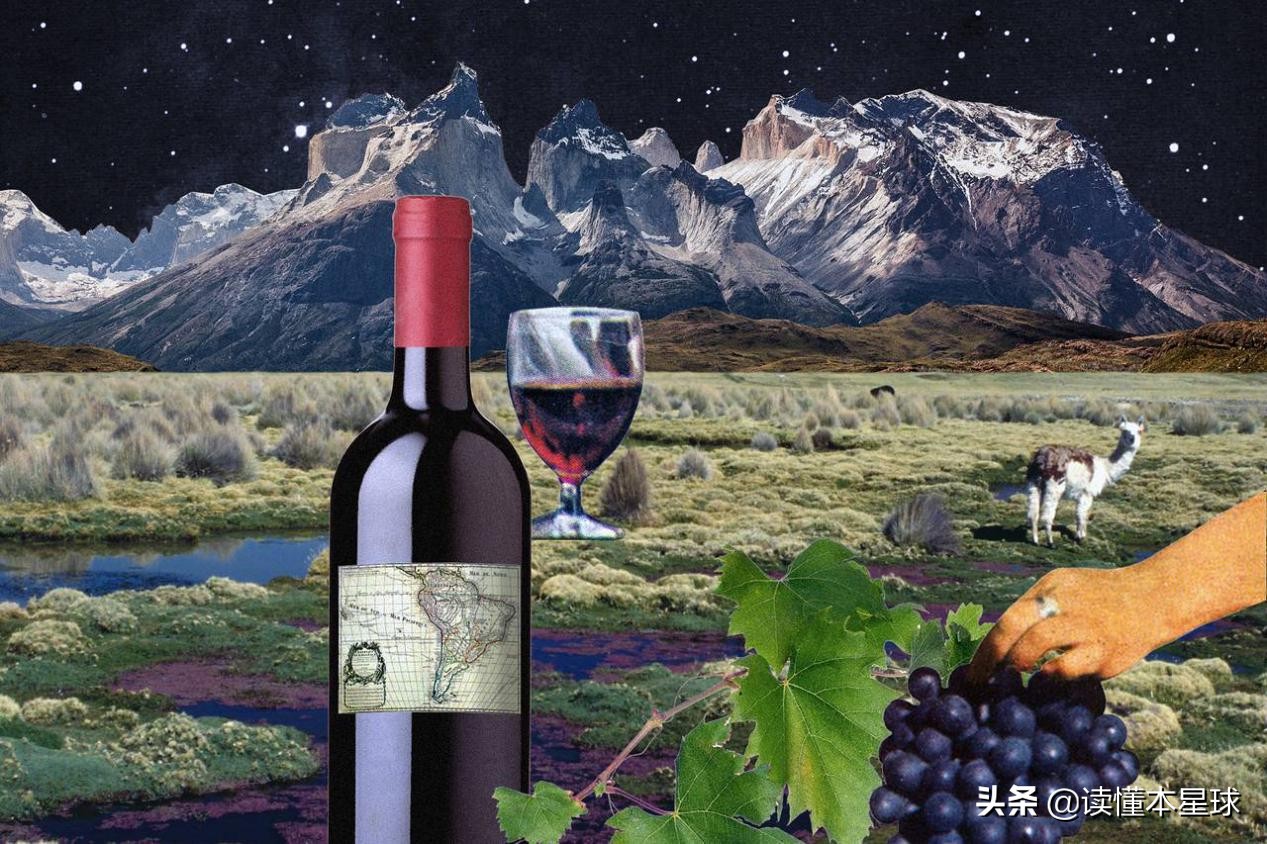 智利会成为发达国家吗,智利是怎么成为狭长国家