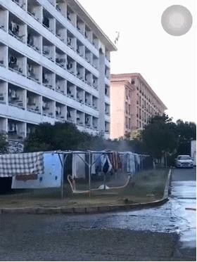 搞笑动图gif高清,搞笑动图gif熊猫