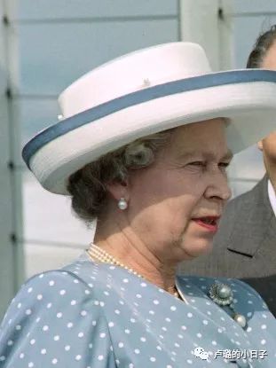 英国女王胸针高档轻奢,女王最贵胸针排行榜