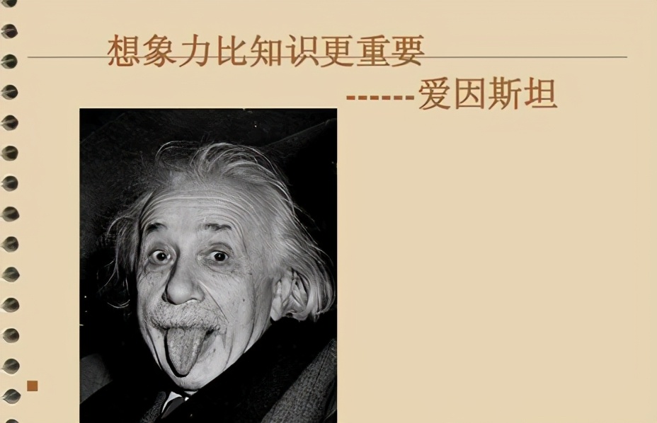 神奇树屋主要讲了什么故事,神奇的树屋深度解析