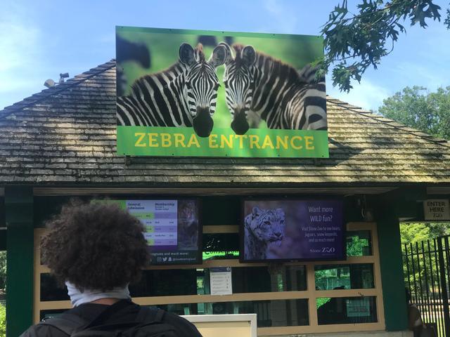 探访华盛顿动物园,波士顿公园周边游