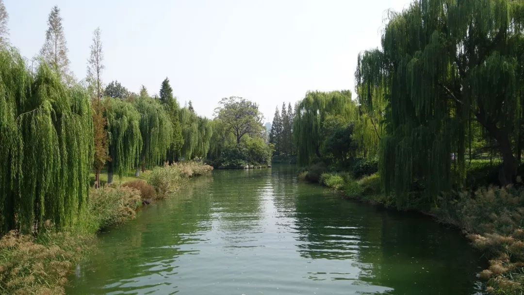 济南方特游玩攻略,去印象济南游玩日记