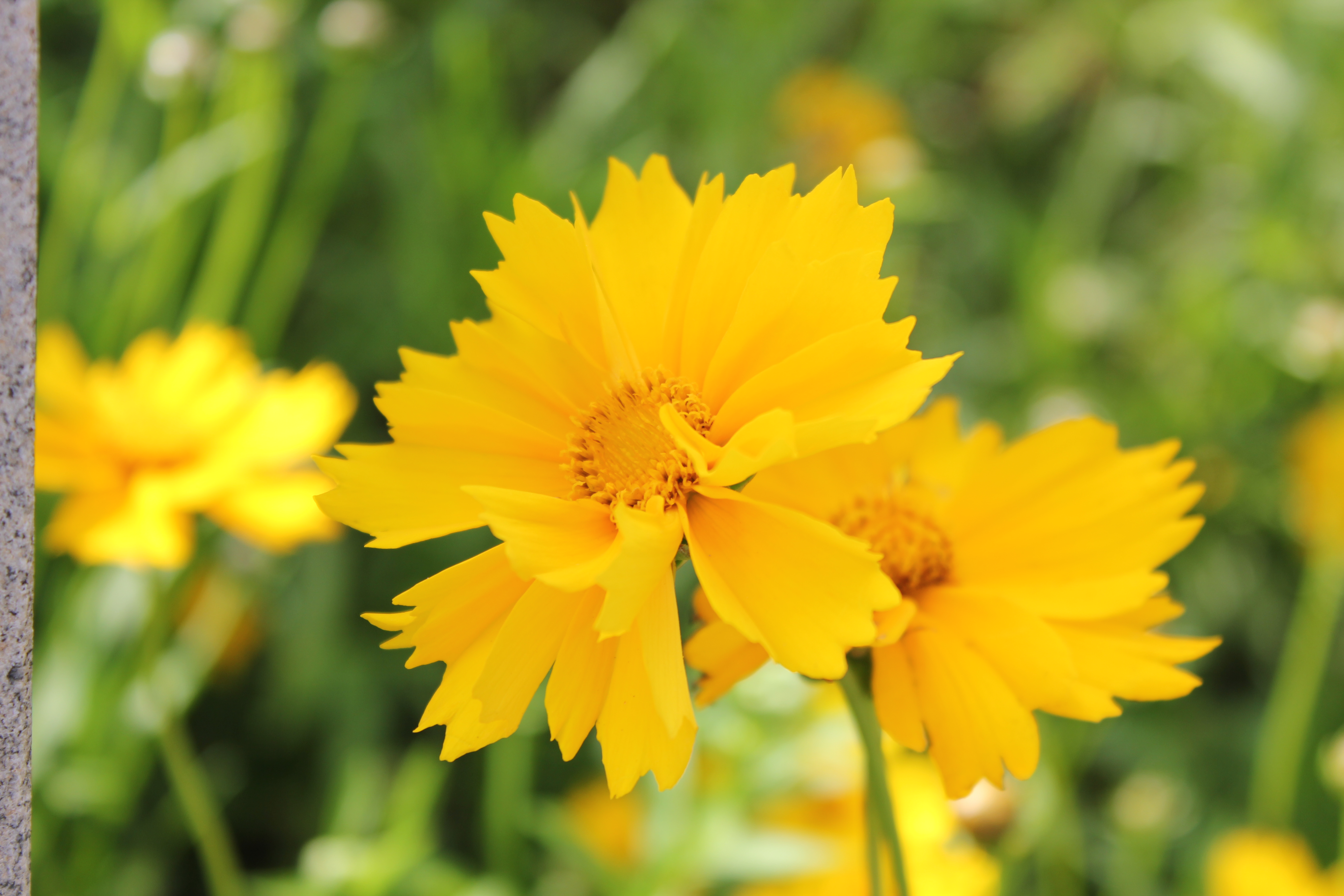 武汉周边避暑胜地｜端午武汉至咸宁九宫山2日自驾亲子游路线分享