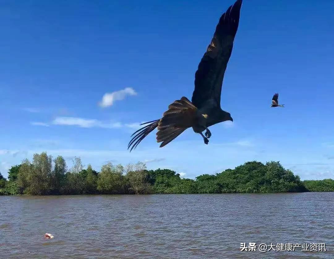 一个民营企业家的创新之路,一位民营企业老板的感悟