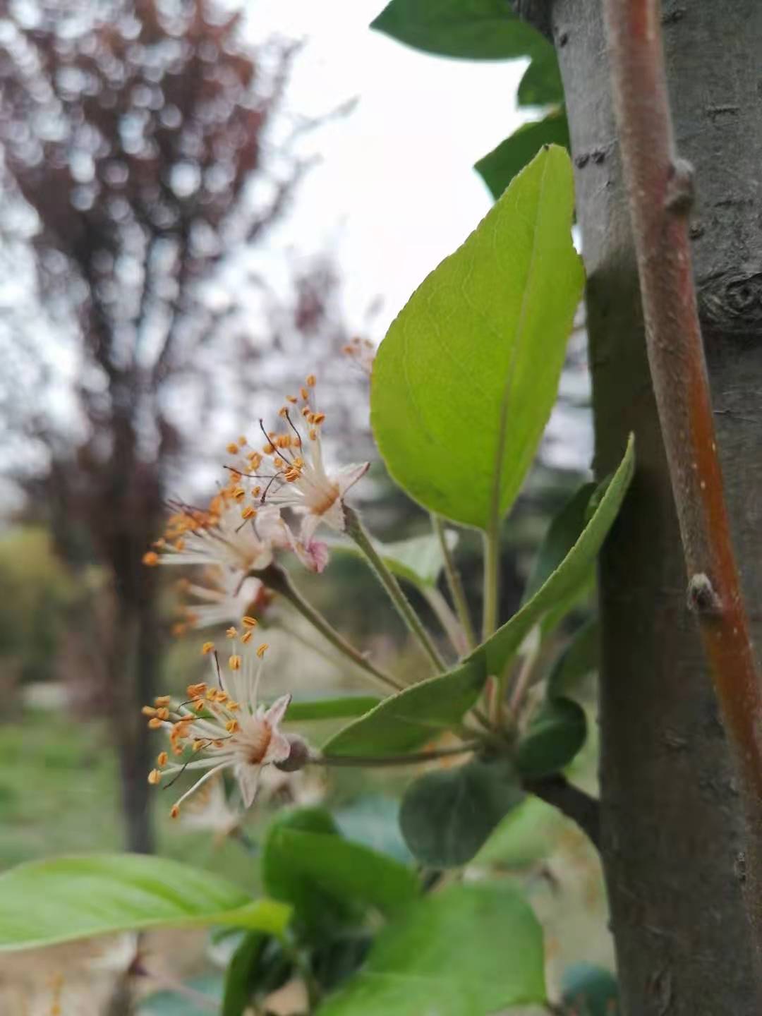 突破层级用什么方法,语文排序题秒杀技巧