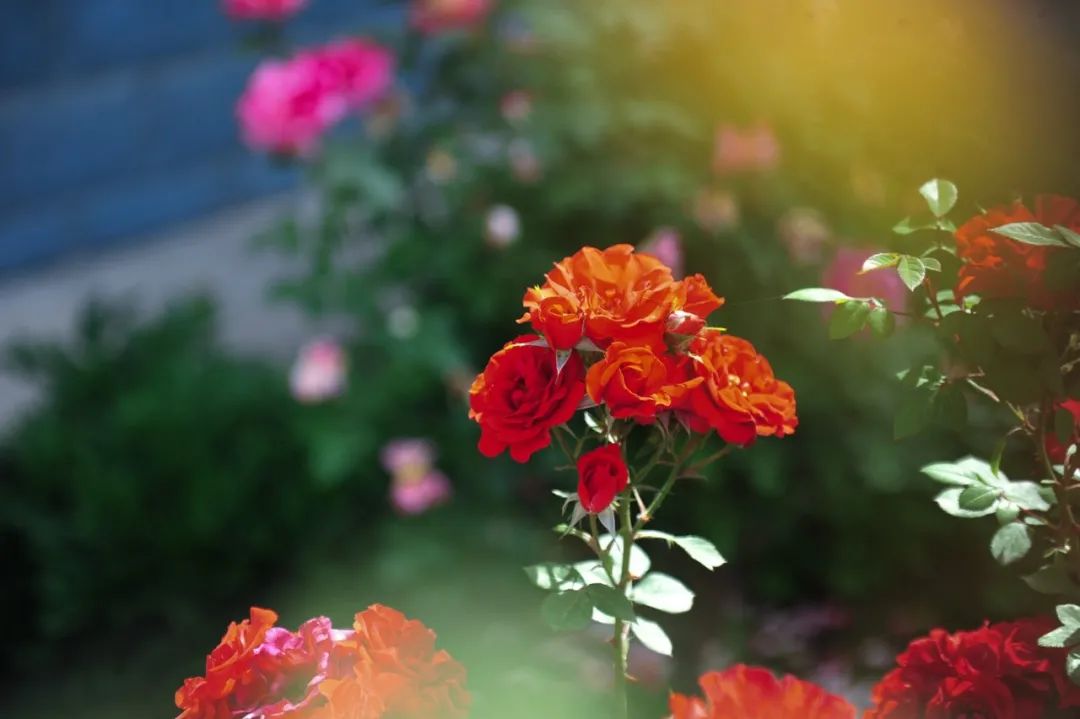 仲春初四日春色正中分古诗,今日春分昼夜平分春意融融