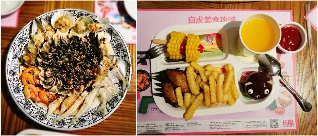 广州长隆动物园最全游玩攻略成人,去广州长隆野生动物园玩真实视频