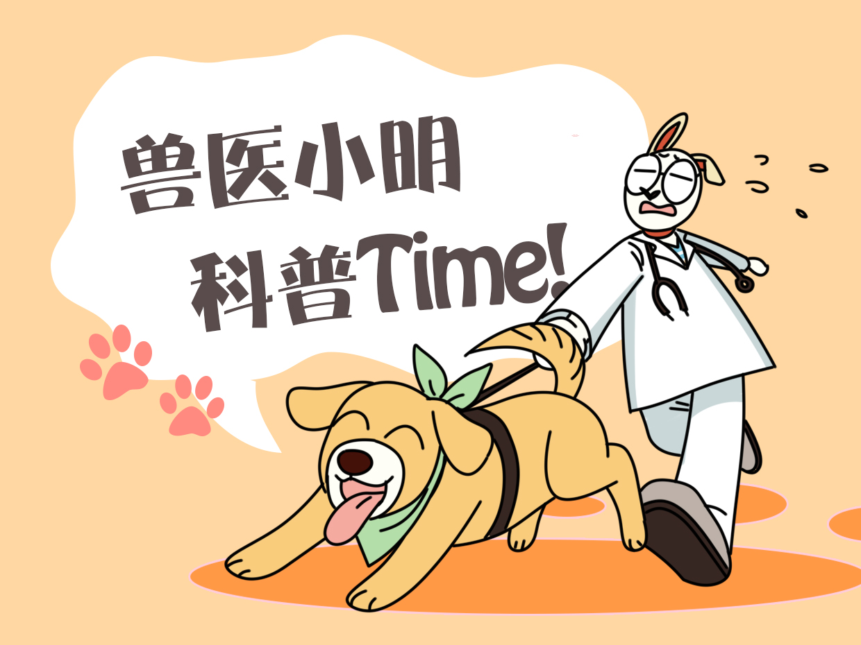 邻居在院子里洗东西,凑近后才发现是只猫:这方法还挺不错的