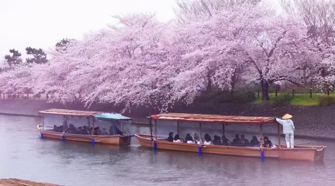茶行业如何做营销,茶行业怎么经营更赚钱