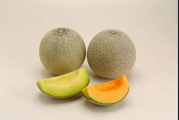 日本茨城美食,日本茨城好吃的