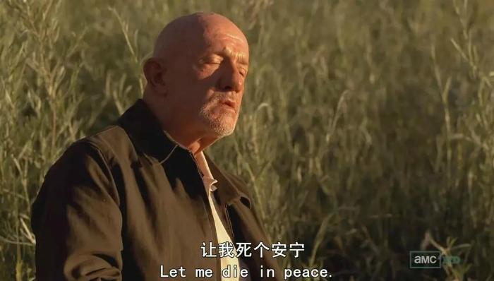 绝命毒师好看的美剧,评分最高的美剧绝命毒师