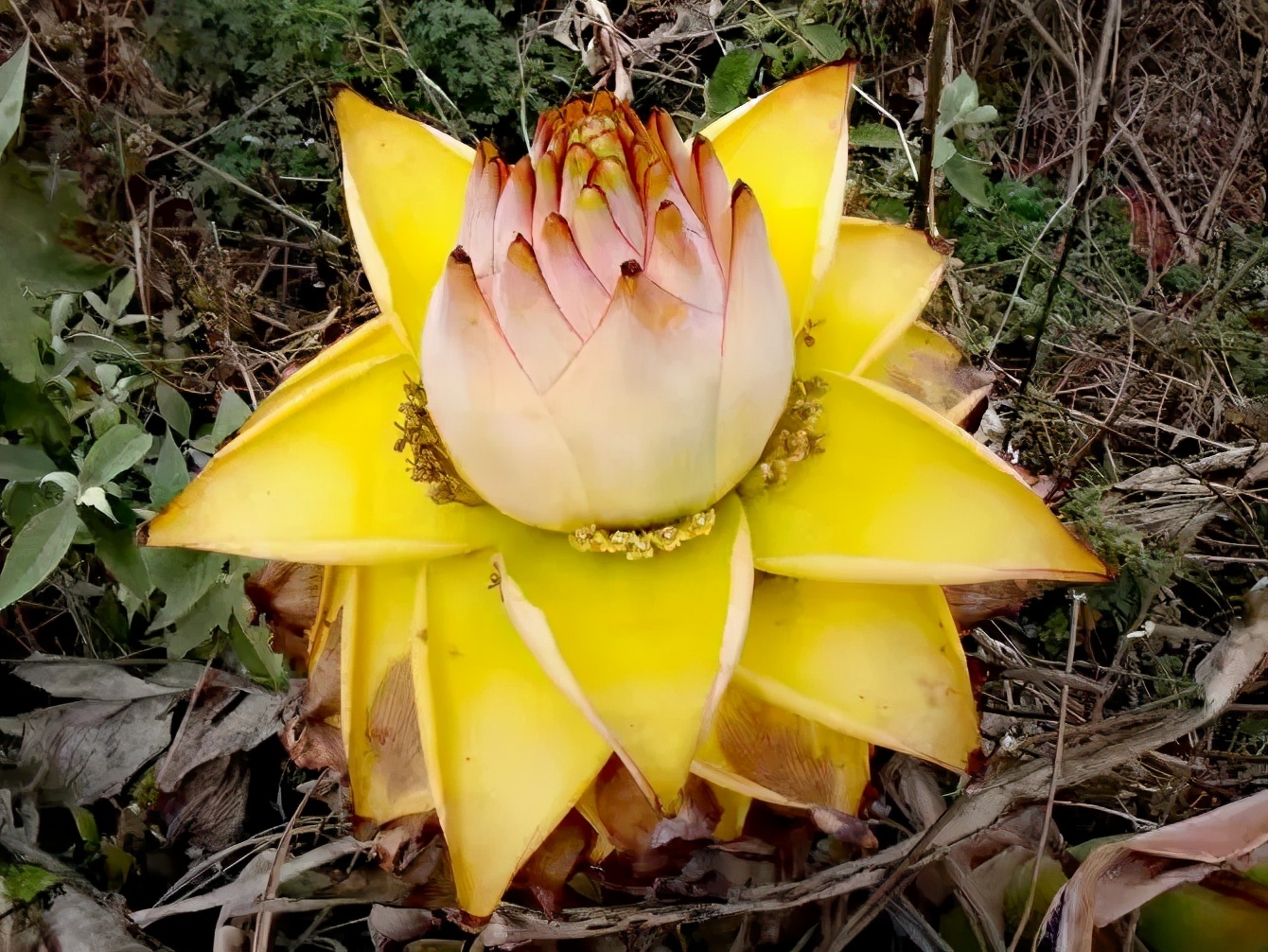 个人成长计划完成了哪些突破,个人成长成才目标