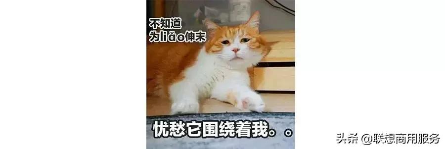 如何用word制作好看的个人简历表,简单利用word制作简历无框