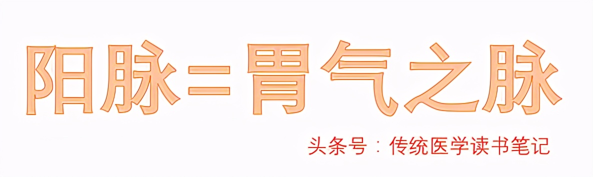 小肠生理特性中医,人体小肠是什么
