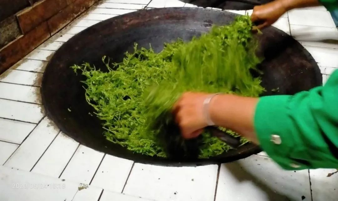 张家界的莓茶是什么植物,张家界的特级莓茶40克多少钱一盒