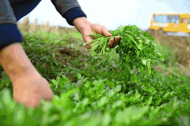 千万不要来西安读大学！别怪我没提醒你！