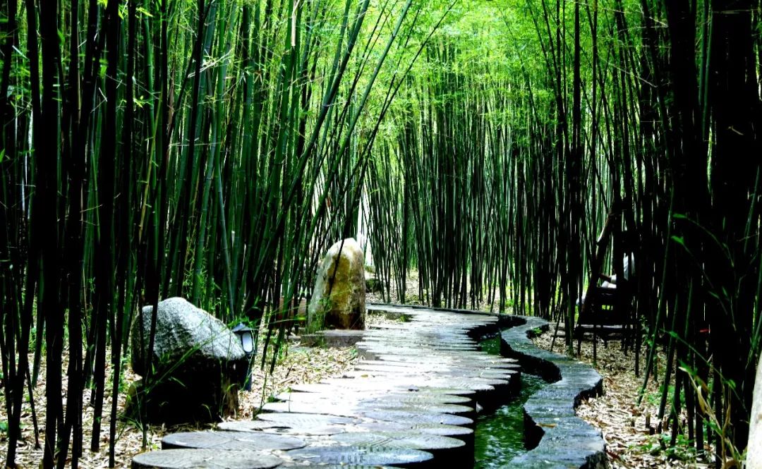 最美竹泉村,中国十大最美乡村山东竹泉村