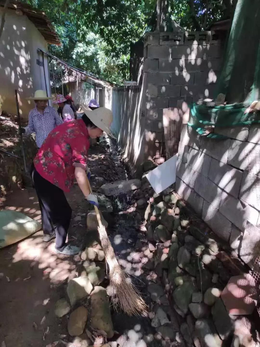 我市两镇获评国家卫生乡镇,争创省级卫生镇