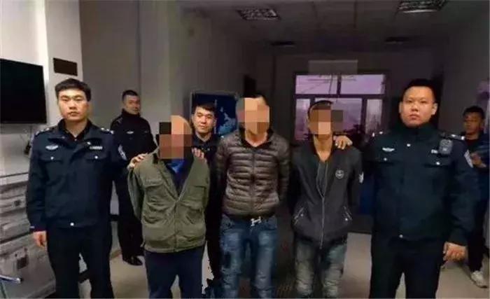 蜜袋鼯外出网兜小包夏季,蜜袋鼯捕鸟